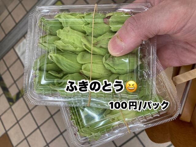20250403_04.jpg